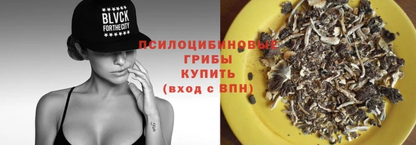 гидра Вязники
