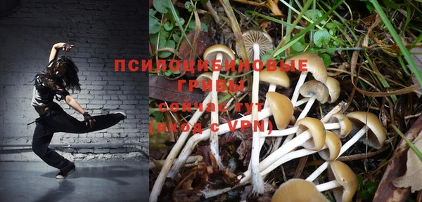 spice Вяземский