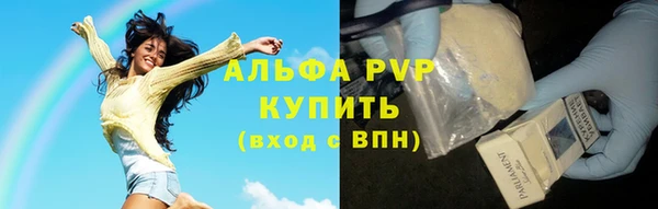 spice Вяземский