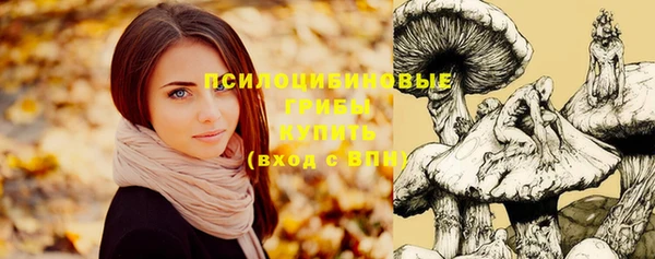 spice Вяземский