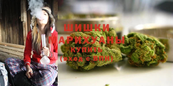 spice Вяземский