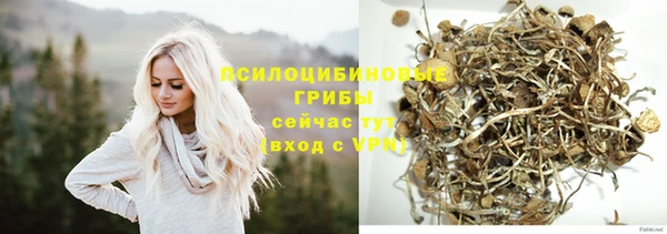 гидра Вязники